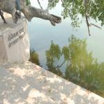 Vraj-Yatra-2014- (747)